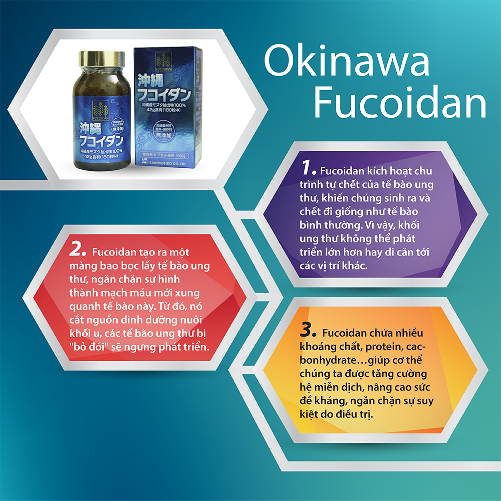 3 cơ chế tác động của Fucoidan Okinawa