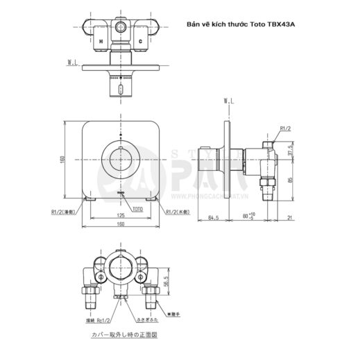 Bộ nóng lạnh, sen tay âm tường Toto TBX43A - Hình ảnh 2