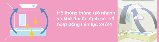 1 1628071868 4784749018 info 13 1