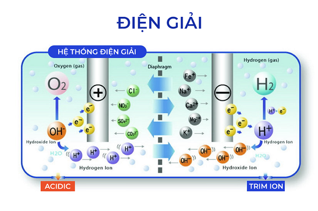 he thong dien giai 7