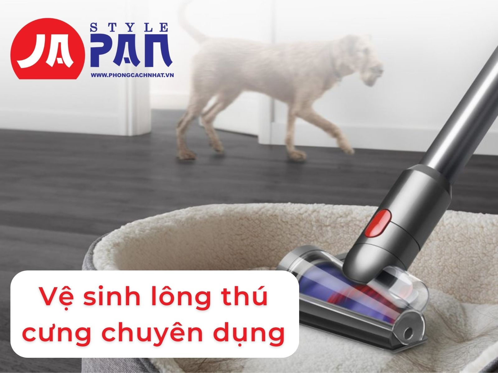 Máy hút bụi Dyson Outsize 2