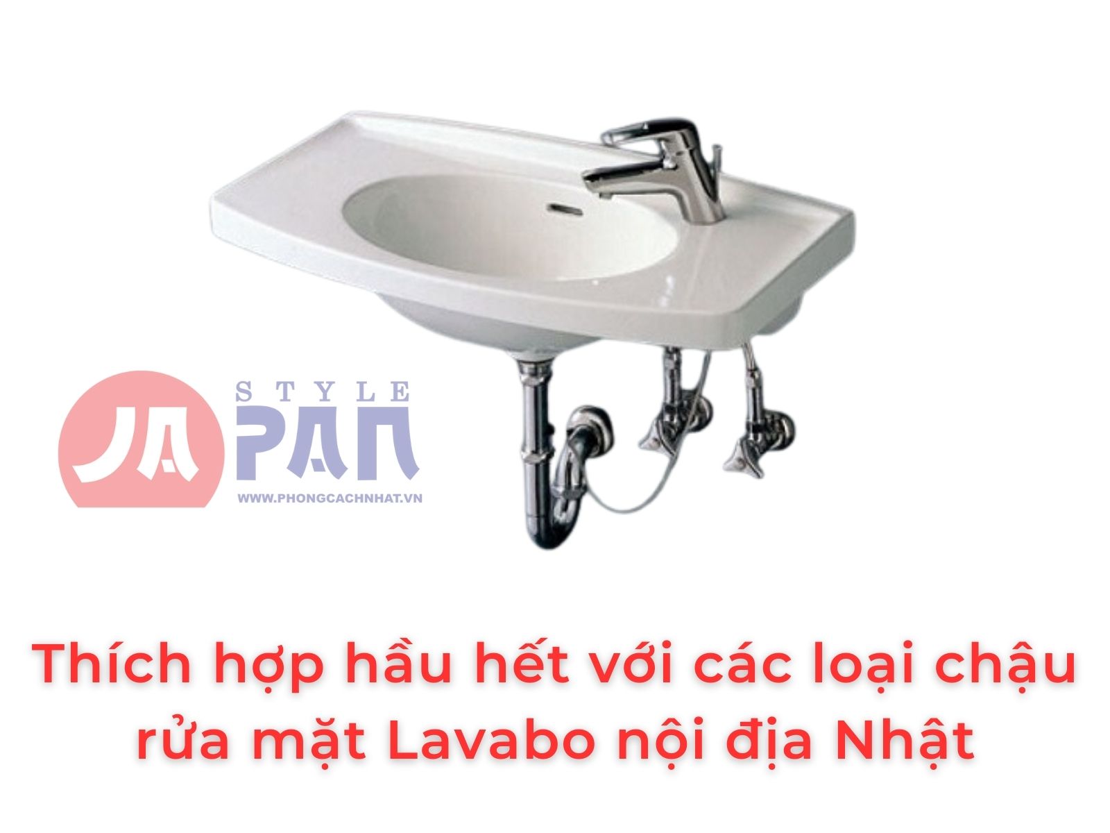 Xi phông Toto TLDN2201J nội địa Nhật 4