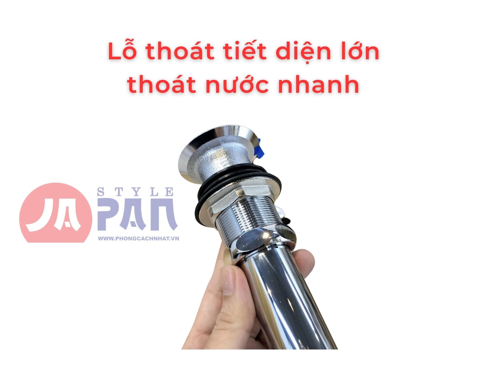 Xi phông Toto TLDN2201J nội địa Nhật 5
