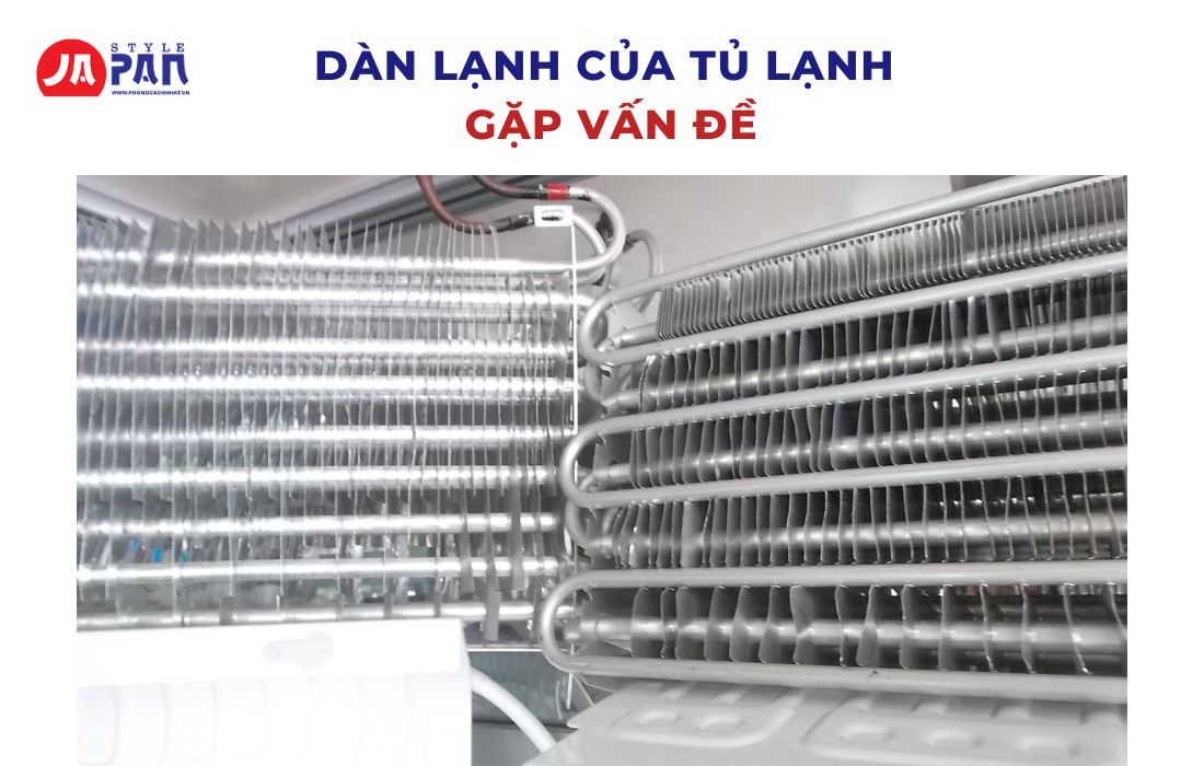 Nguyên Nhân Tủ Lạnh Kêu To Ở Ngăn Đá Và Cách Khắc Phục 3 Dàn lạnh của tủ lạnh gặp vấn đề