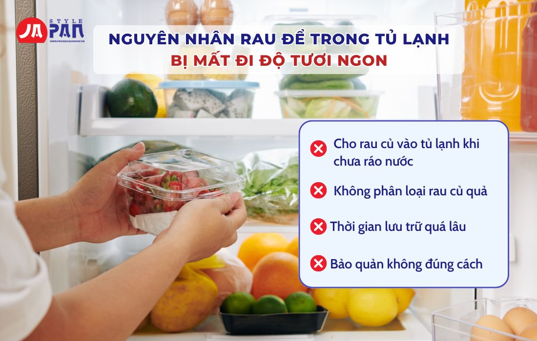 8 Cách Bảo Quản Rau Trong Tủ Lạnh Giúp Tươi Ngon Cả Tuần 2 Nguyên nhân rau để trong tủ lạnh bị mất đi độ tươi ngon