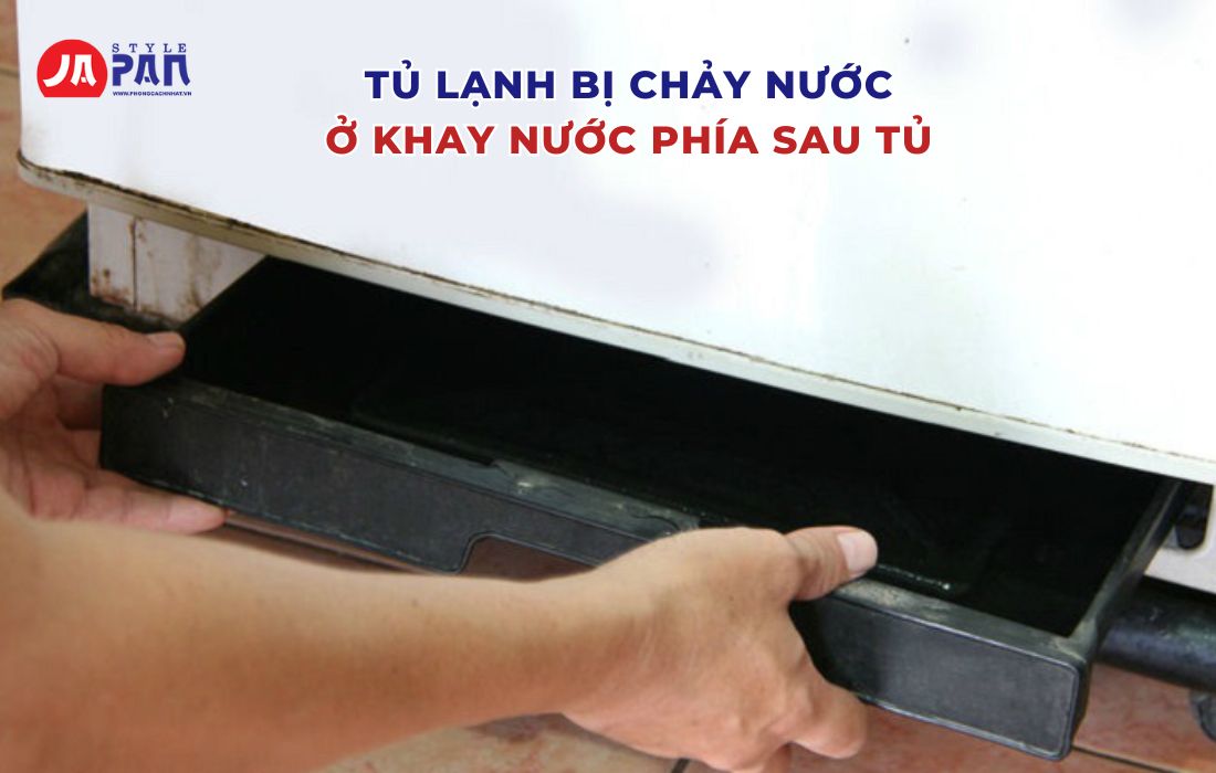 Nguyên Nhân Tủ Lạnh Chảy Nước Ở Ngăn Mát Và Cách Khắc Phục 3 Tủ lạnh bị chảy nước ở khay nước sau tủ