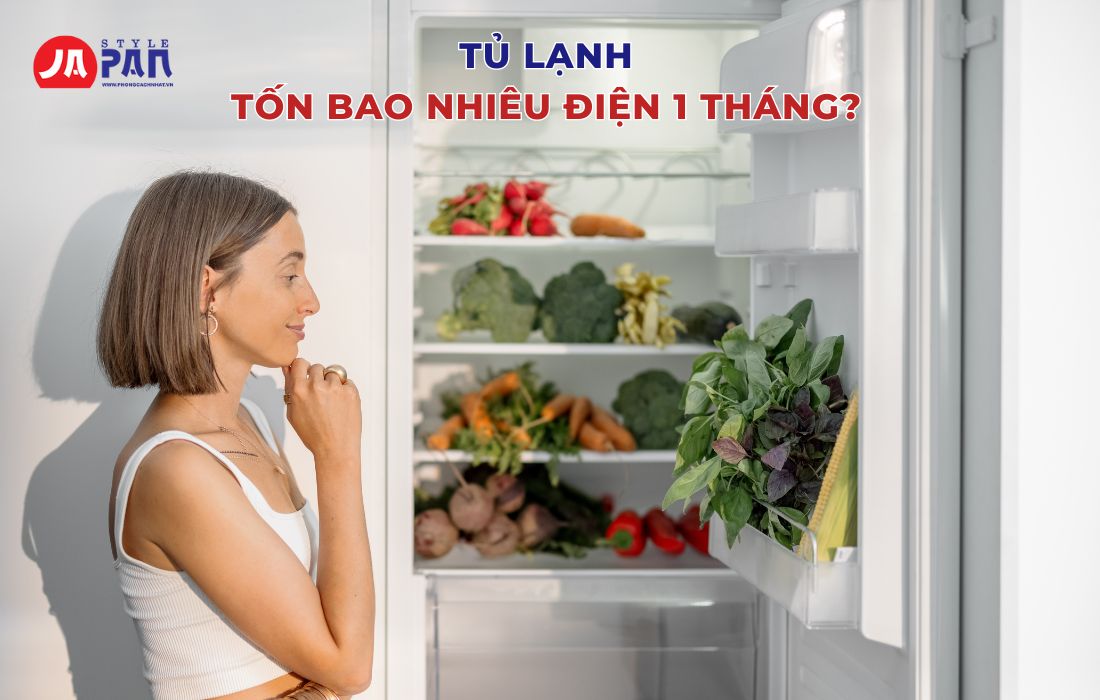 Tủ Lạnh Tốn Bao Nhiêu Điện 1 Tháng - Cách Sử Dụng Tiết Kiệm Điện 3 Tủ lạnh tốn bao nhiêu điện 1 tháng?