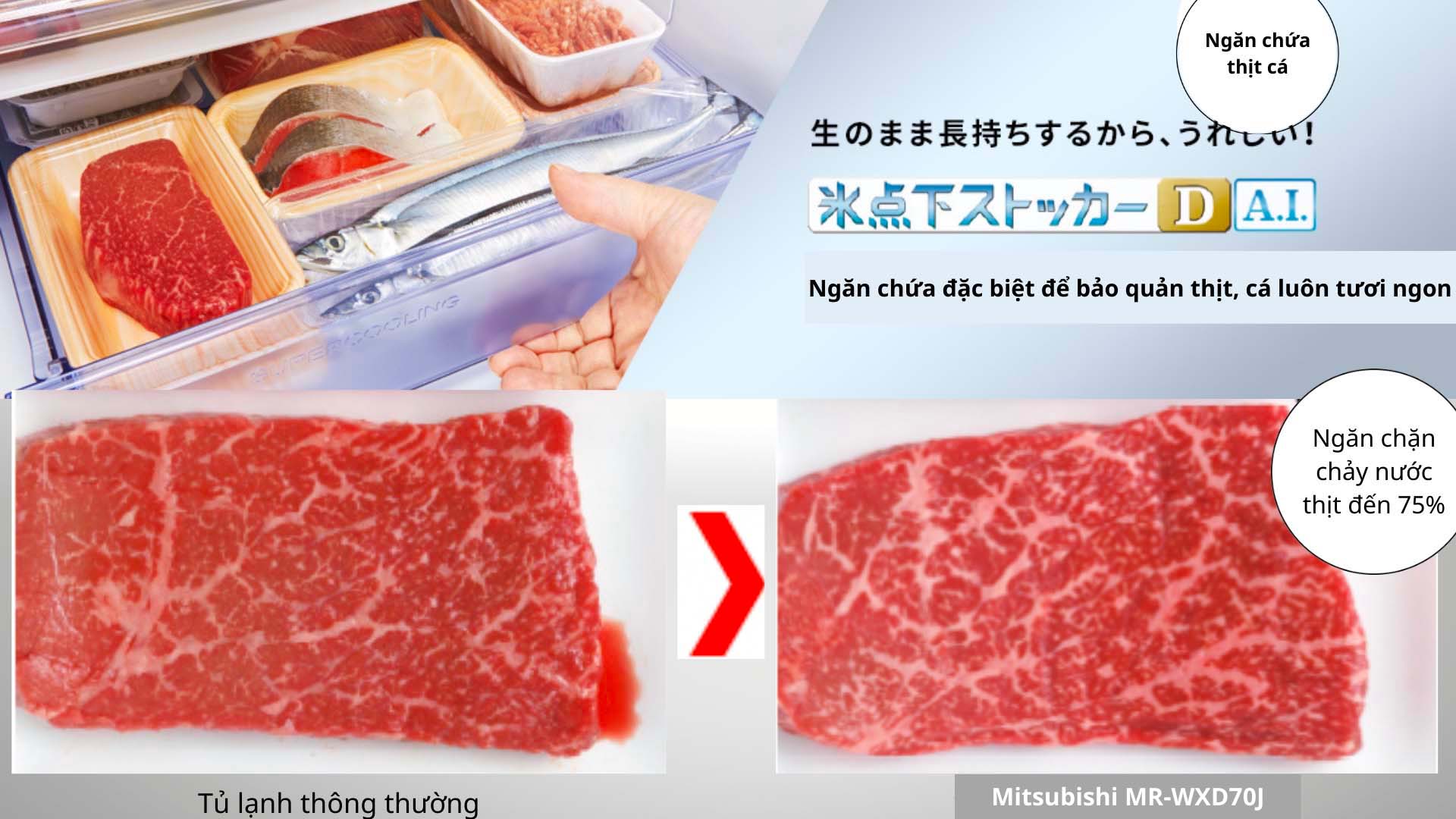 Sử dụng trực tiếp – Không cần rã đông trên MR-WXD70K