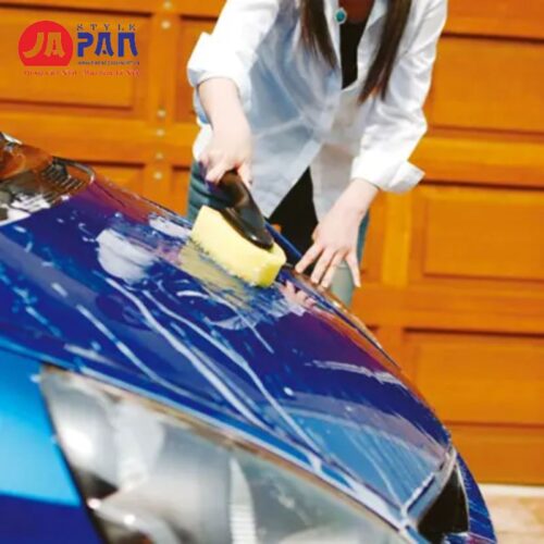Bàn chải bọt biển Takagi G273