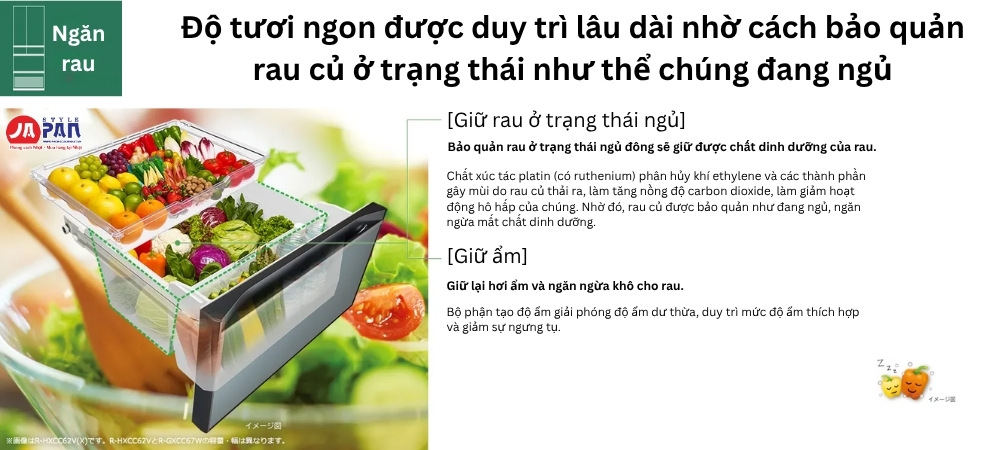 Tủ lạnh Hitachi GX series sử dụng công nghệ giúp rau ở trại thái ngủ, giữ độ tươi