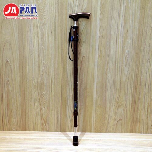 Gậy cho người già Reha LC-23 – toàn cảnh